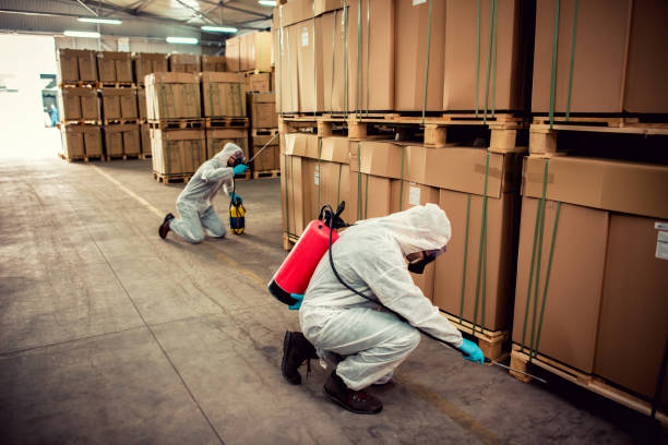 Best Wildlife Control Services  in Walford, IA