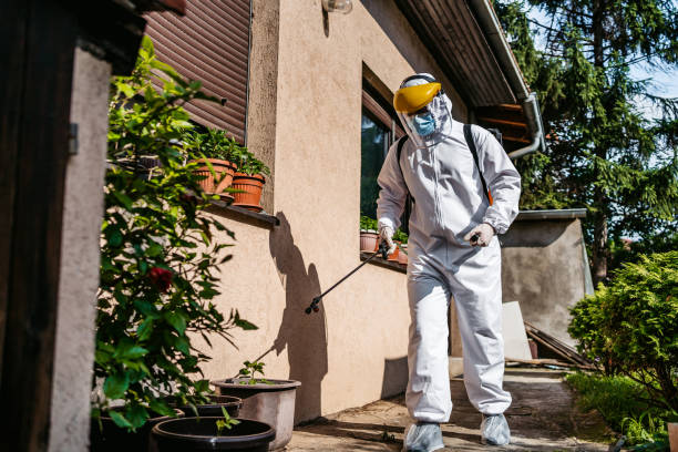 Best Mosquito Control Services  in Walford, IA