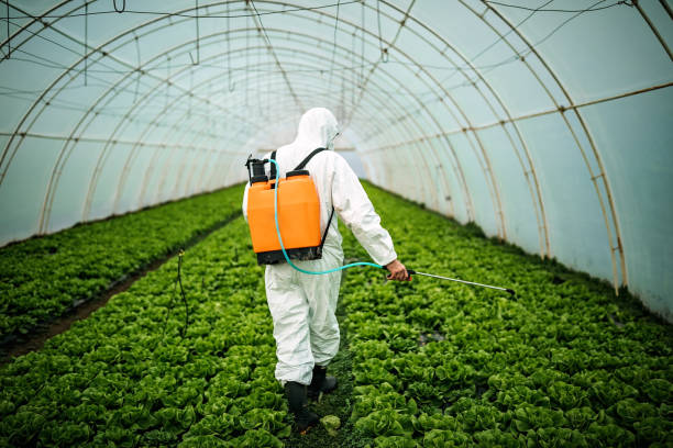 Professional Pest Control in Walford, IA