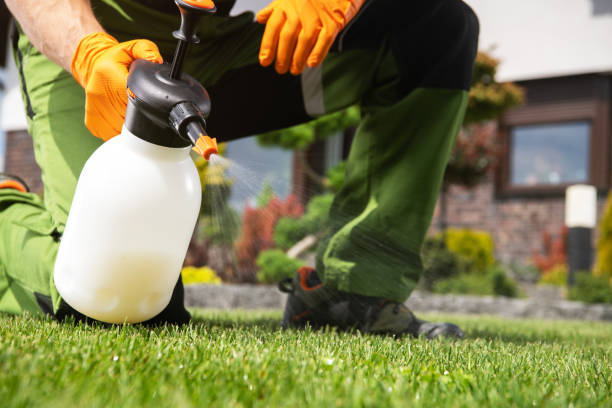 Best Emergency Pest Control  in Walford, IA
