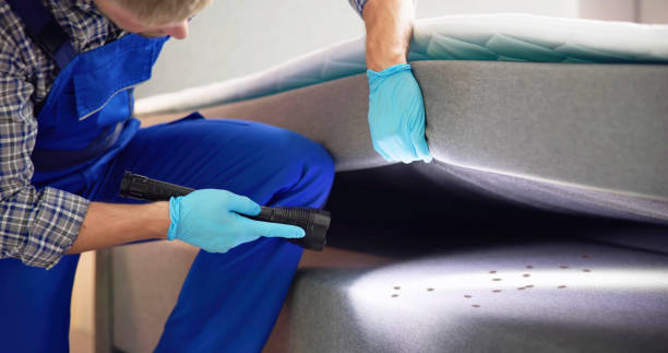 Best Best Pest Control Companies  in Walford, IA