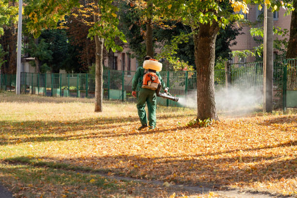 Best Wasp Removal Services  in Walford, IA