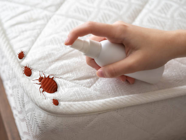 Best Residential Pest Control  in Walford, IA