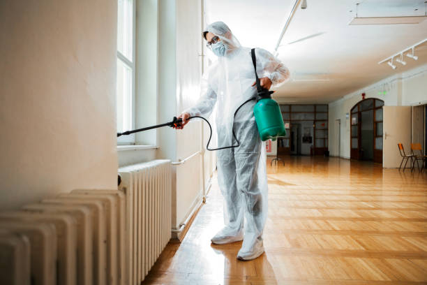Best Flea Control Services  in Walford, IA