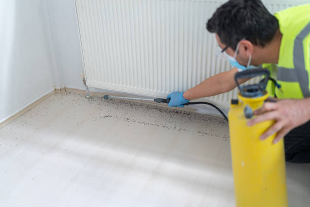 Best Bed Bug Extermination  in Walford, IA