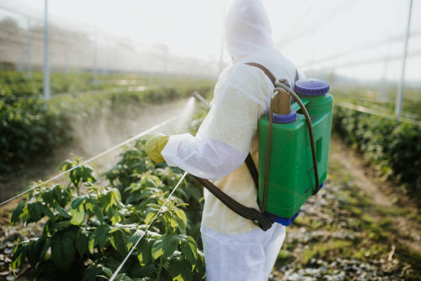 Best Local Pest Control Services  in Walford, IA